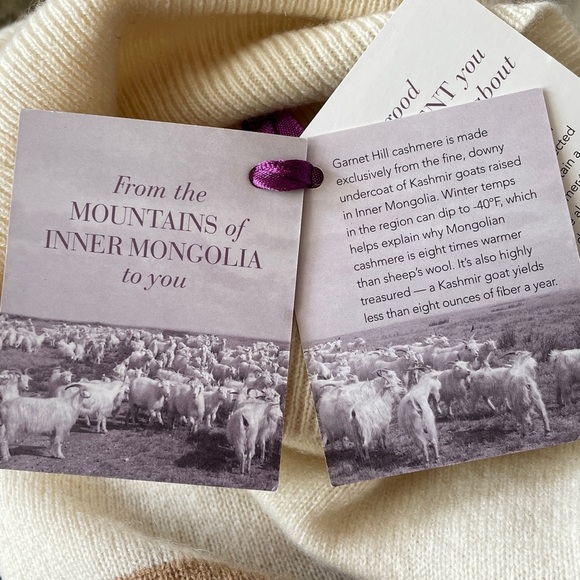 Garnet Hill Mongolian Cashmere Turtleneck Sweater in Ivory & Camel Size XS (2-4) - Picture 12 of 14